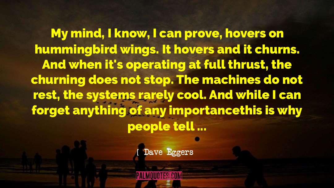 Infiltrator Systems quotes by Dave Eggers
