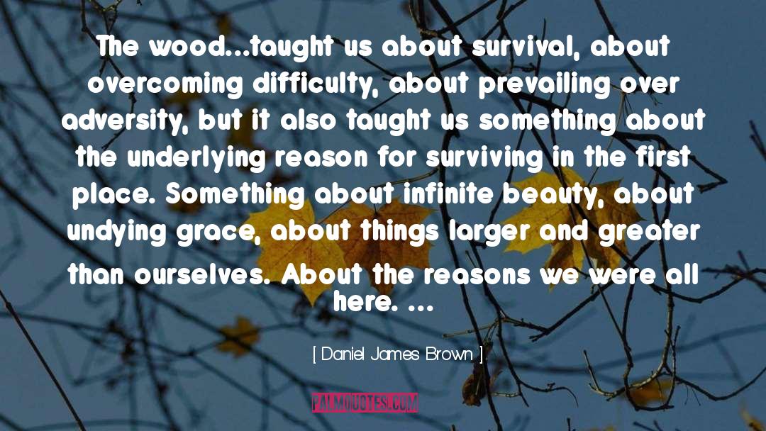 Infinite Beauty quotes by Daniel James Brown