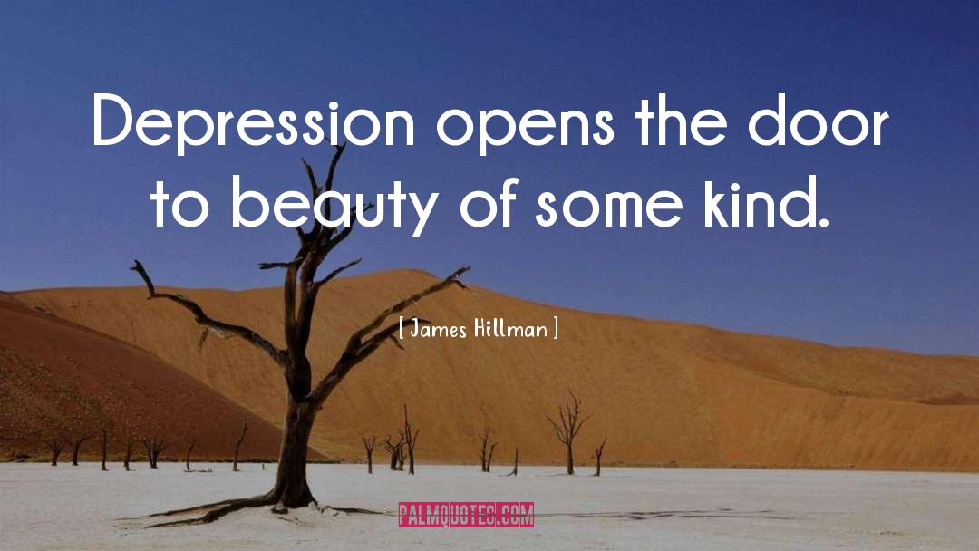 Infinite Beauty quotes by James Hillman