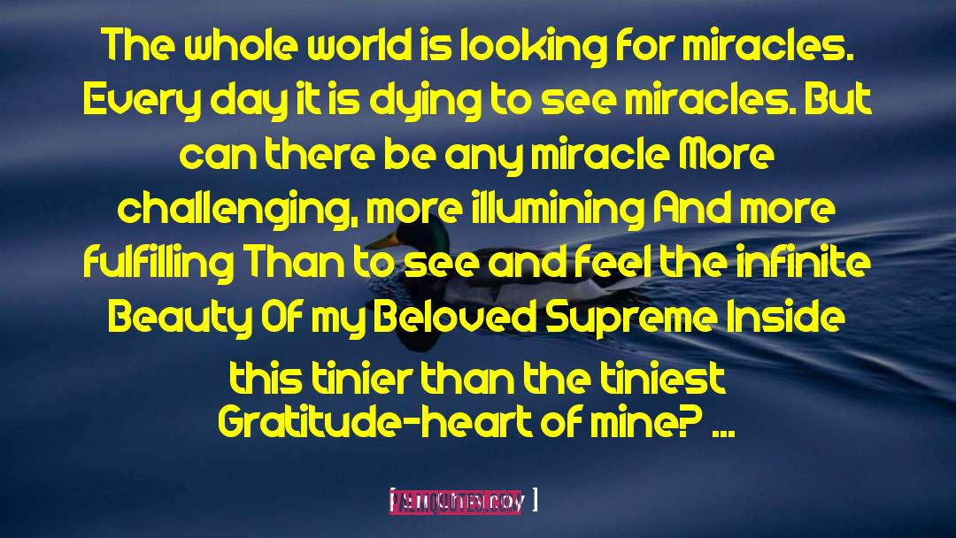 Infinite Beauty quotes by Sri Chinmoy