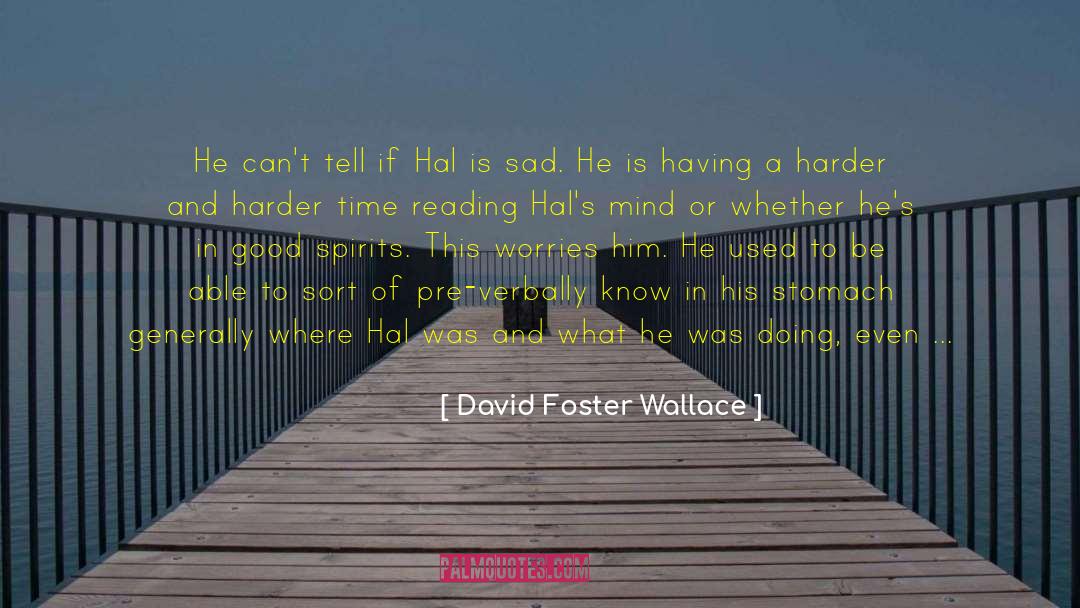 Infinite Jest quotes by David Foster Wallace