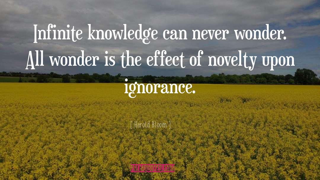 Infinite Knowledge quotes by Harold Bloom