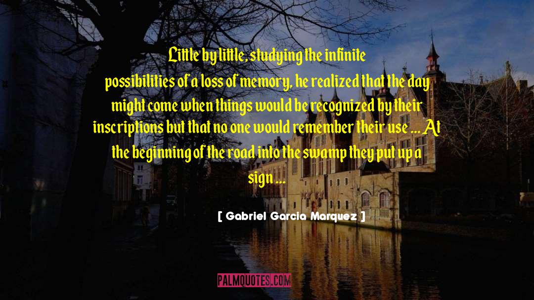 Infinite Possibilities quotes by Gabriel Garcia Marquez