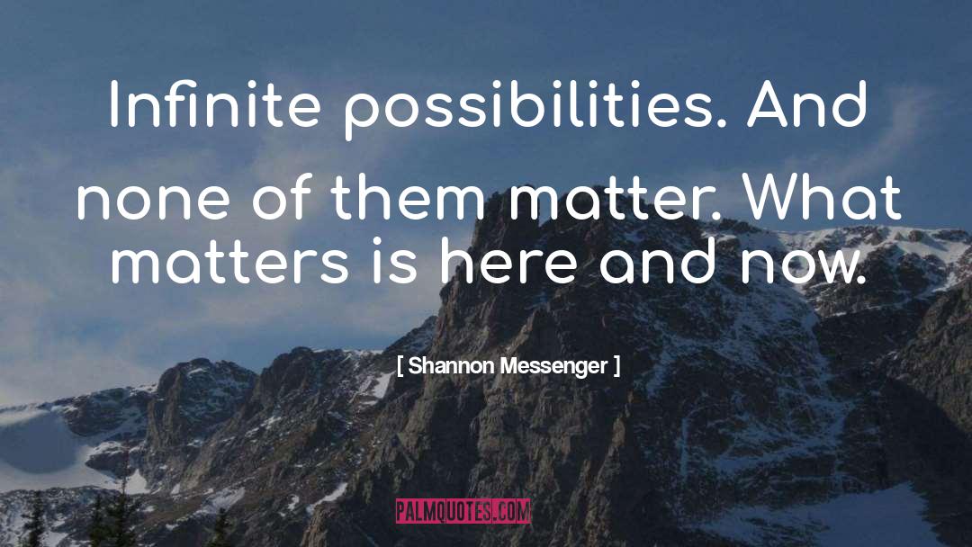 Infinite Possibilities quotes by Shannon Messenger