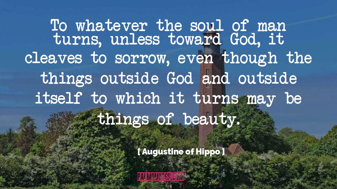 Infinite Soul quotes by Augustine Of Hippo