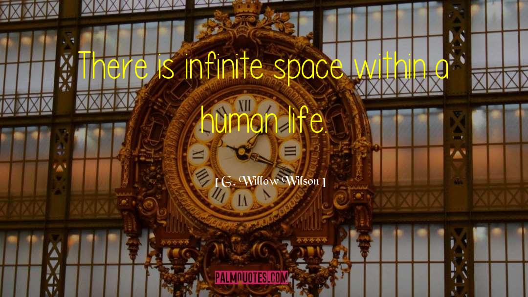 Infinite Space quotes by G. Willow Wilson