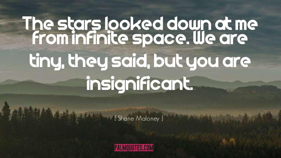 Infinite Space quotes by Shane Maloney