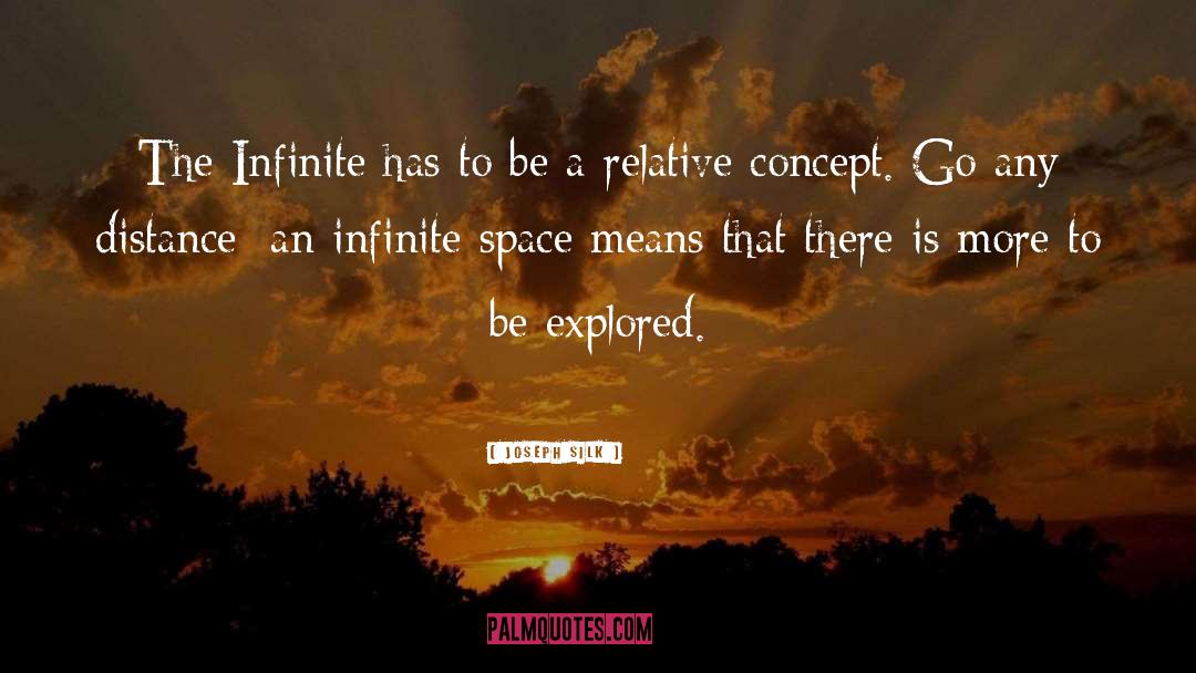 Infinite Space quotes by Joseph Silk