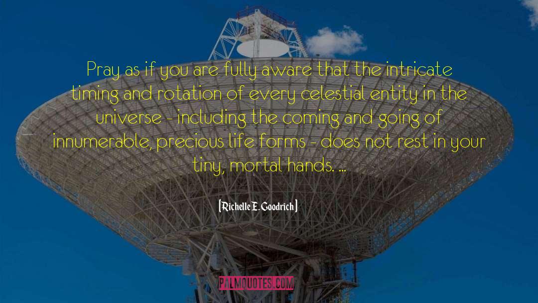 Infinite Universe quotes by Richelle E. Goodrich