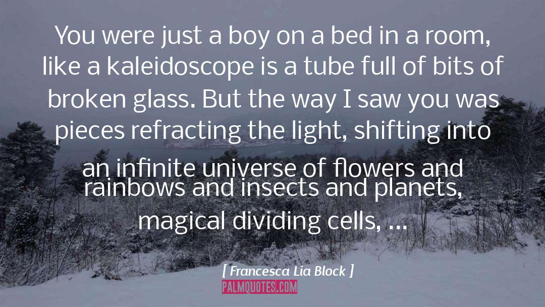 Infinite Universe quotes by Francesca Lia Block