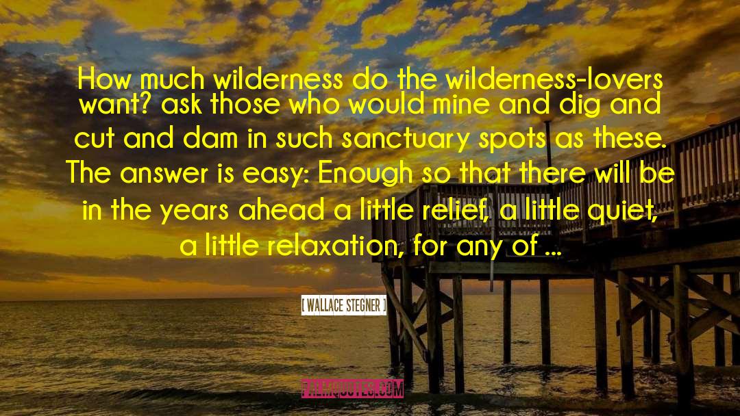 Infinite Wilderness quotes by Wallace Stegner
