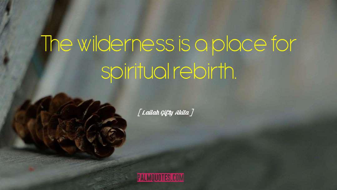 Infinite Wilderness quotes by Lailah Gifty Akita