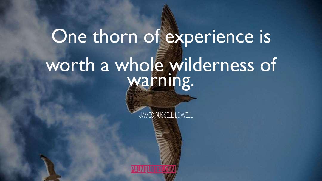Infinite Wilderness quotes by James Russell Lowell