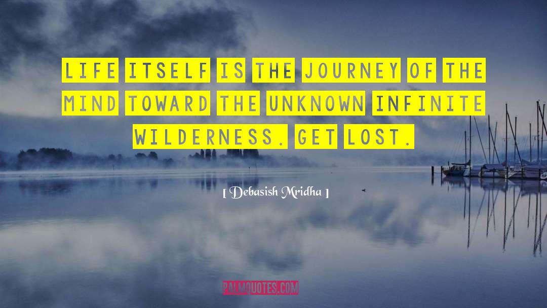 Infinite Wilderness quotes by Debasish Mridha