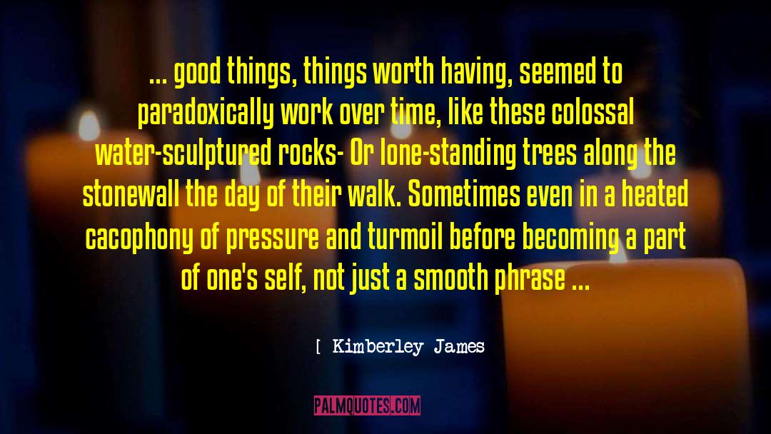 Infinite Worth quotes by Kimberley James