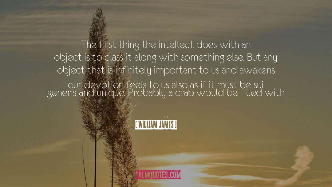 Infinitely quotes by William James