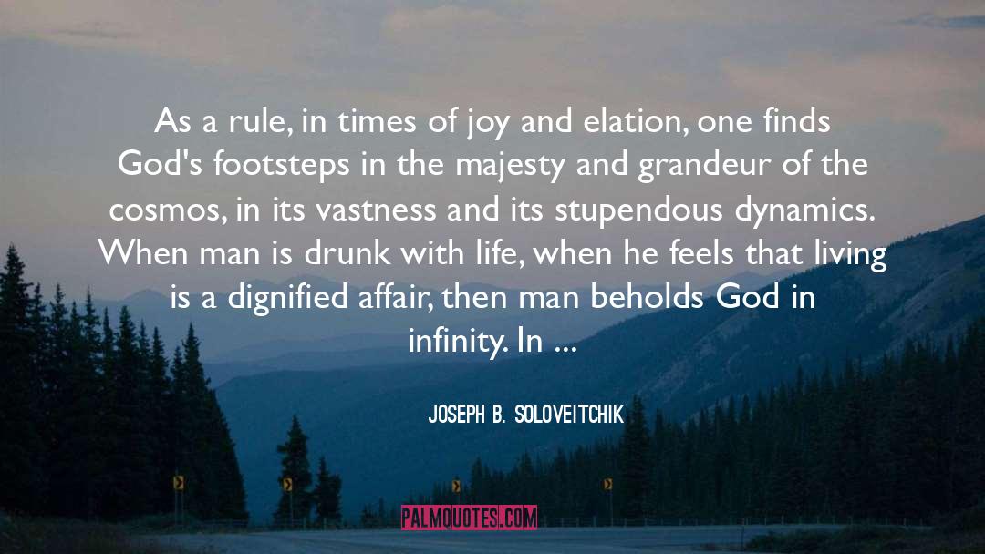 Infinitesimal quotes by Joseph B. Soloveitchik