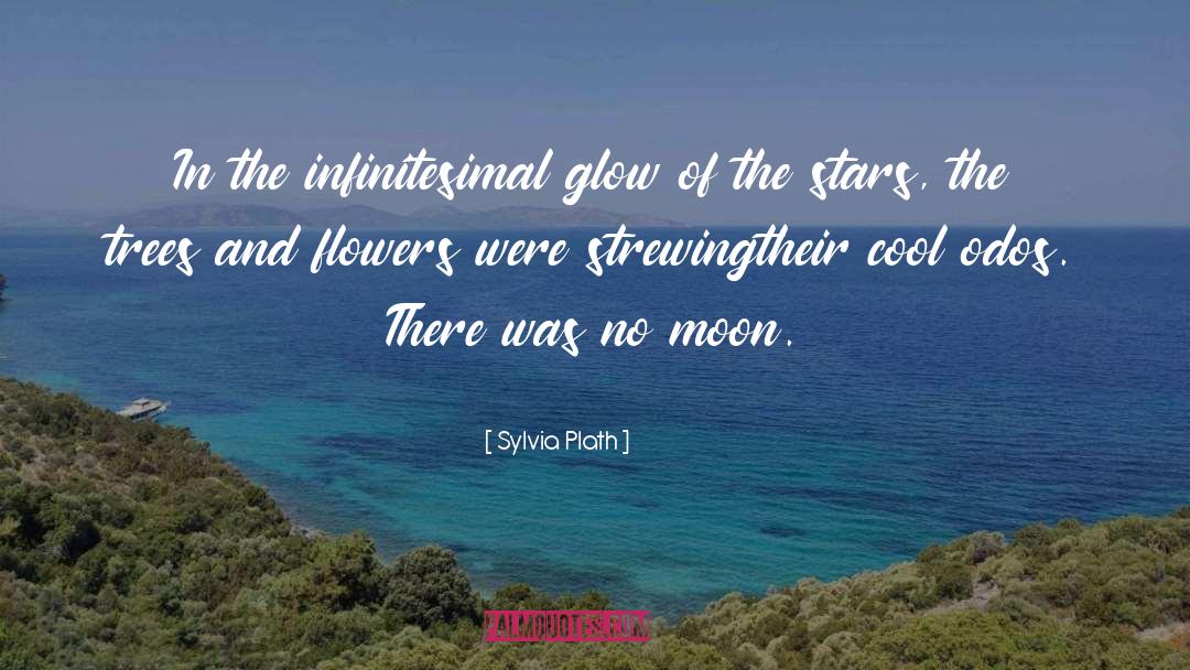 Infinitesimal quotes by Sylvia Plath