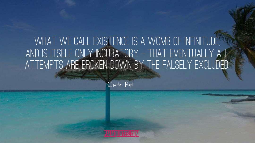 Infinitude quotes by Charles Fort