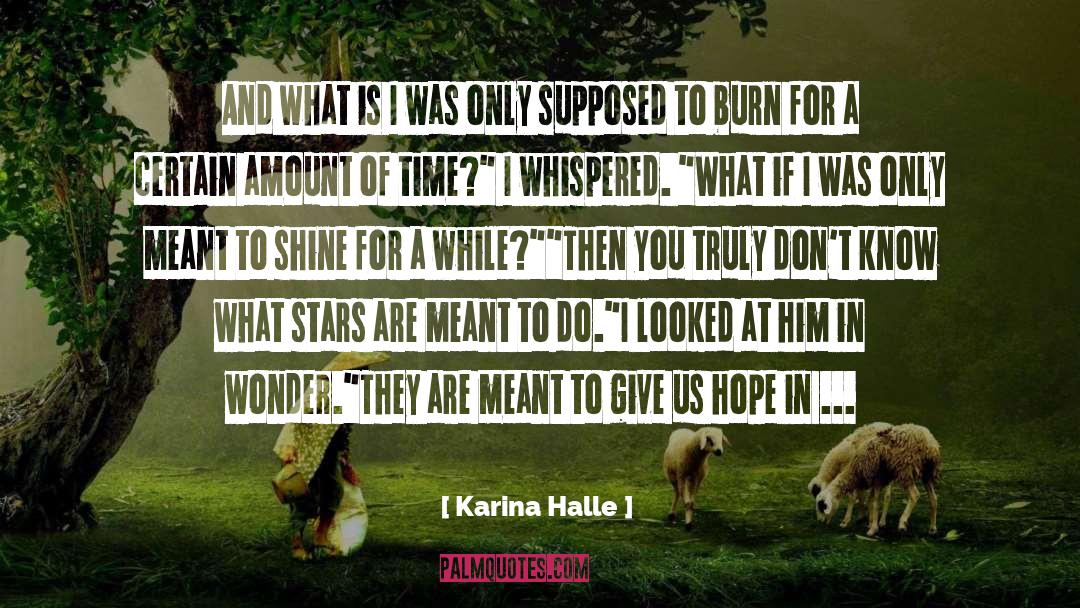 Infinity quotes by Karina Halle