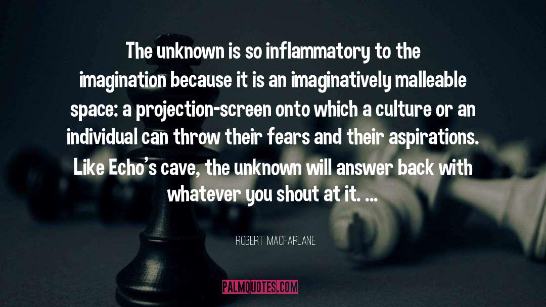 Inflammatory Essays quotes by Robert Macfarlane