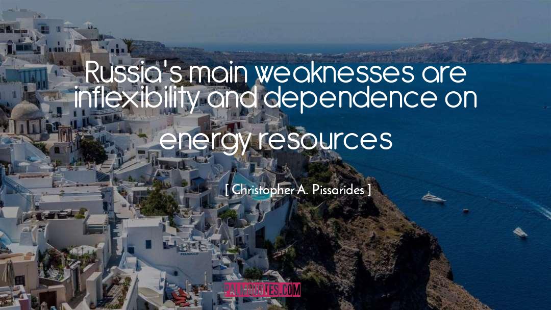 Inflexibility quotes by Christopher A. Pissarides