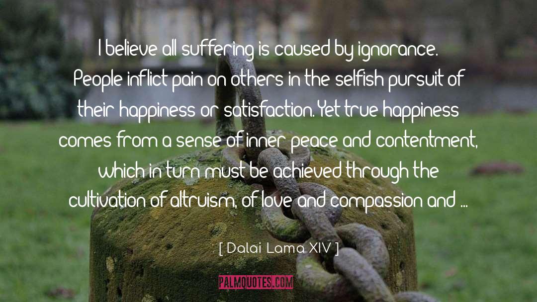 Inflicting Pain quotes by Dalai Lama XIV