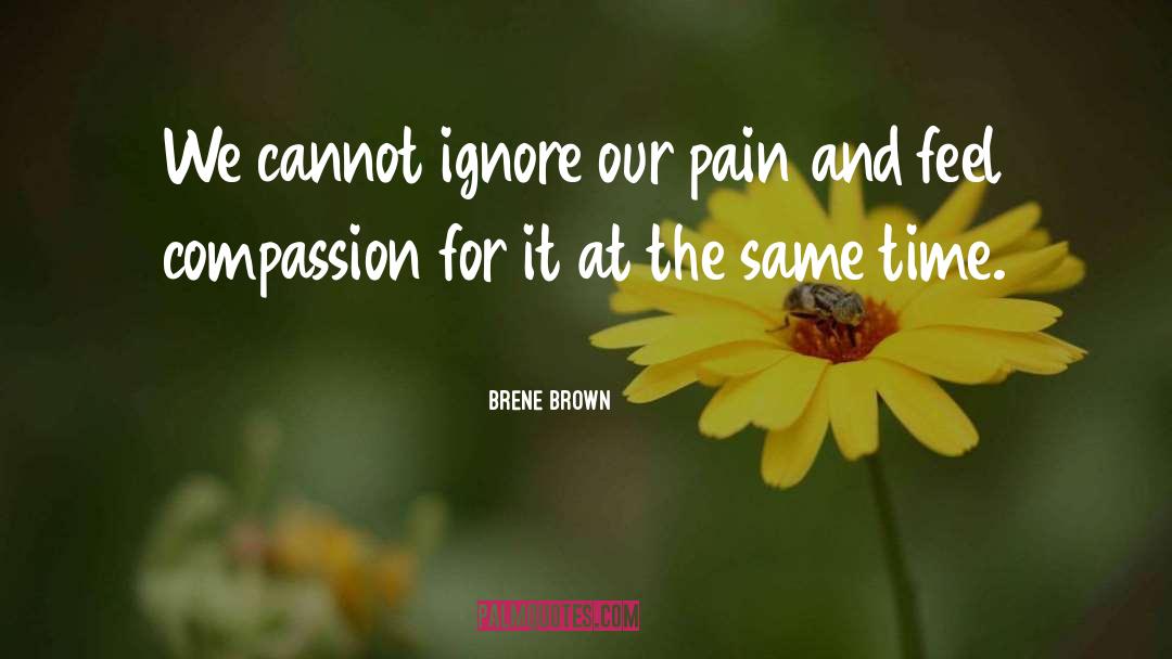 Inflicting Pain quotes by Brene Brown