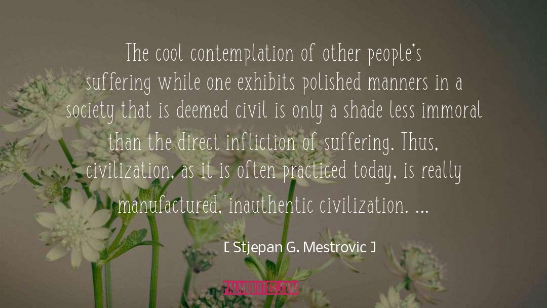 Infliction quotes by Stjepan G. Mestrovic