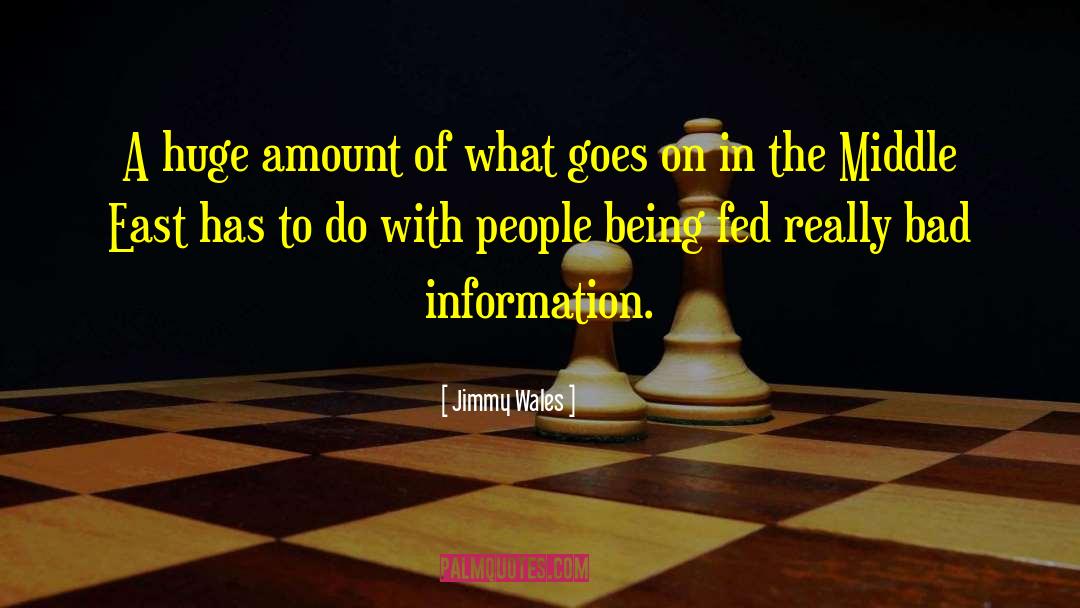 Information Behavior quotes by Jimmy Wales