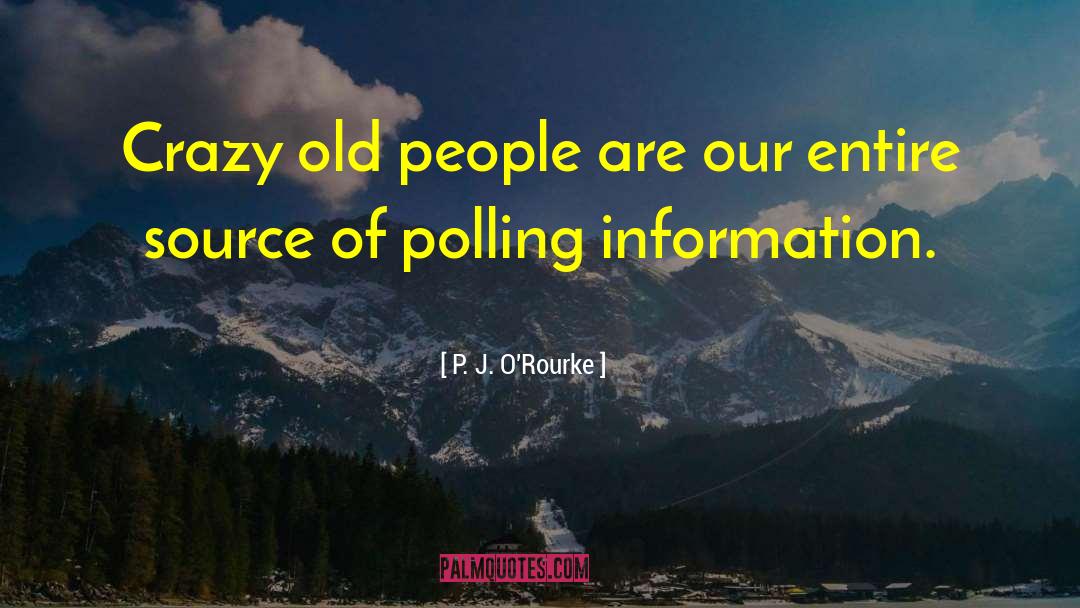 Information Crazy quotes by P. J. O'Rourke