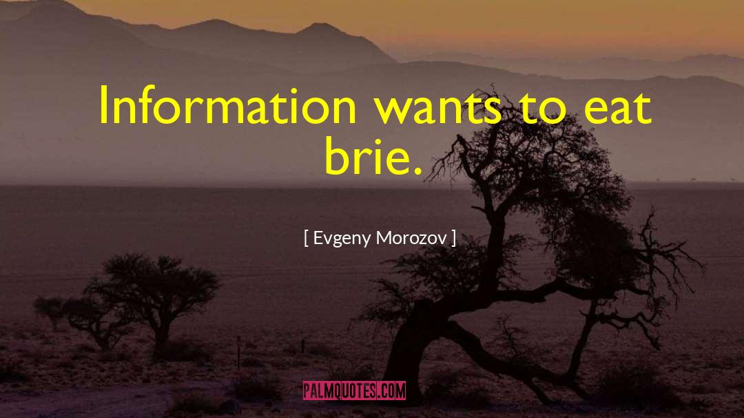 Information Ecoomy quotes by Evgeny Morozov