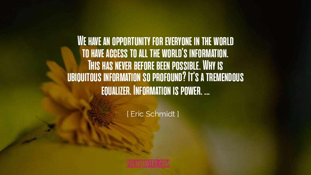 Information Is Power quotes by Eric Schmidt
