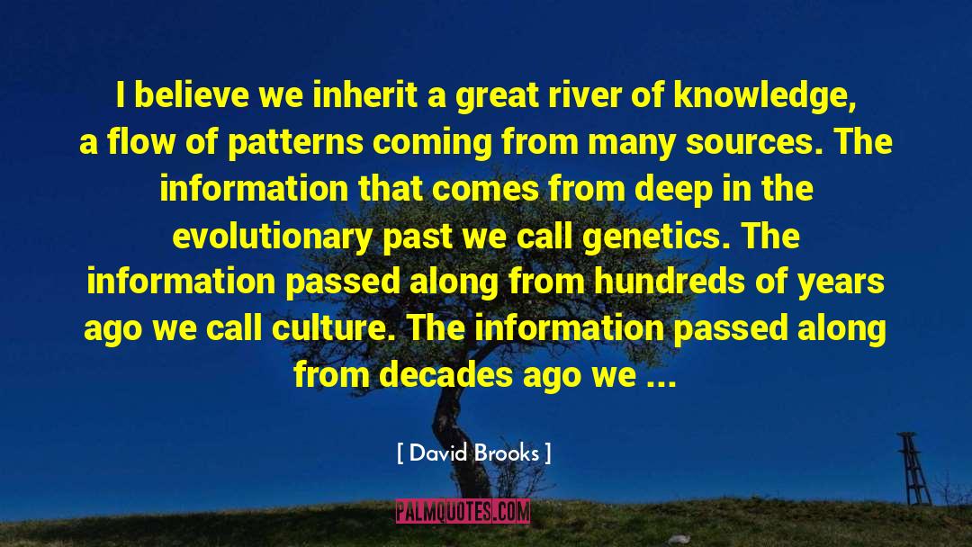 Information Knowledge quotes by David Brooks