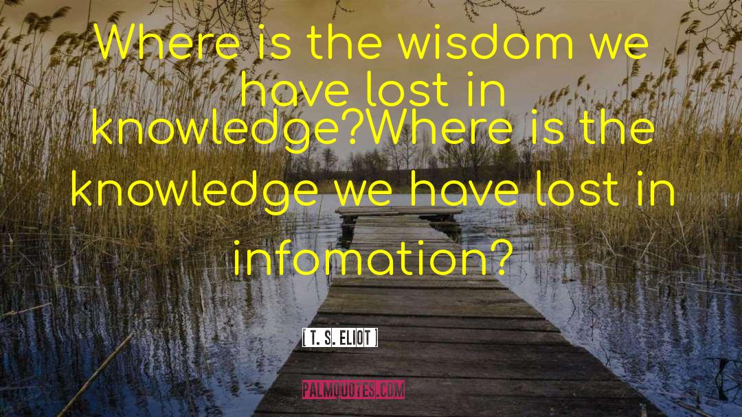 Information Knowledge quotes by T. S. Eliot