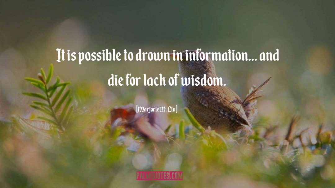 Information Knowledge quotes by Marjorie M. Liu