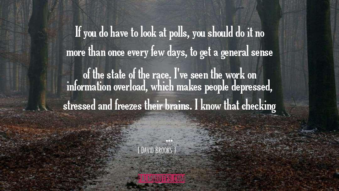 Information Overload quotes by David Brooks