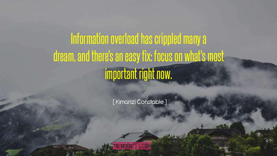 Information Overload quotes by Kimanzi Constable