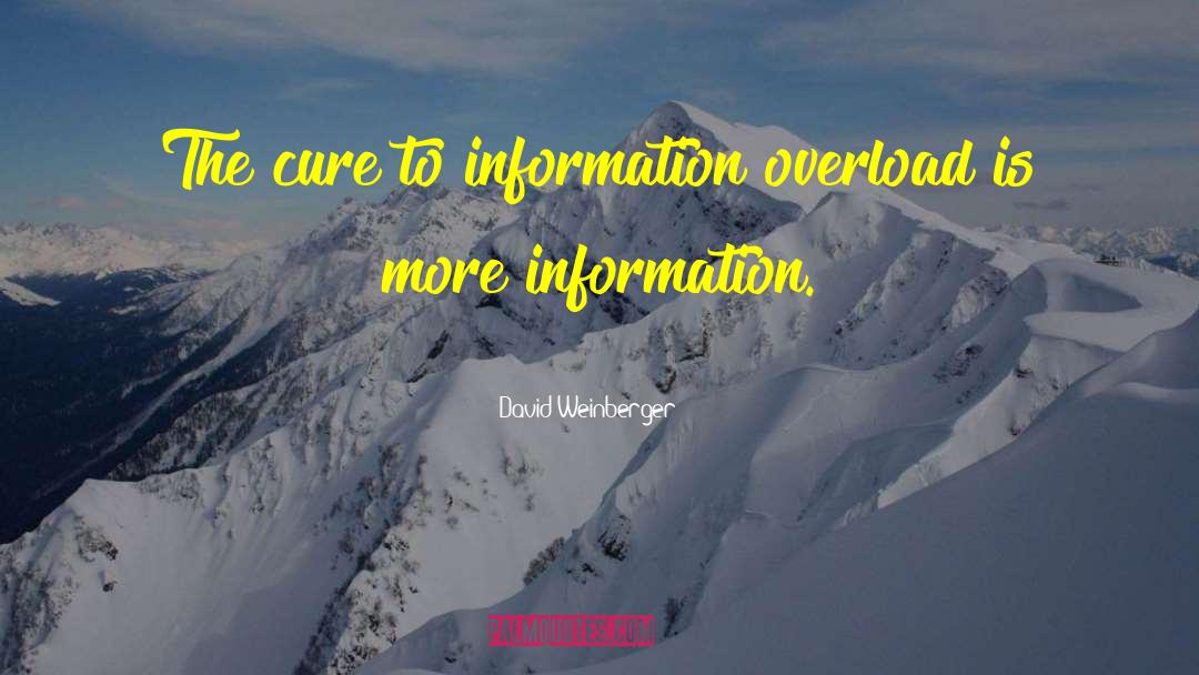 Information Overload quotes by David Weinberger