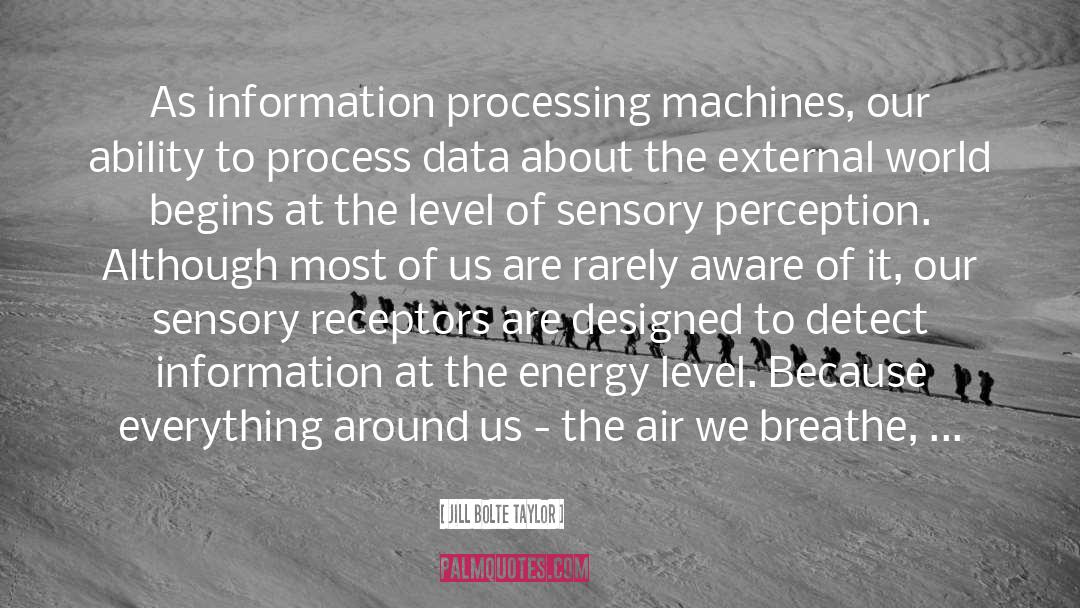 Information Processing quotes by Jill Bolte Taylor