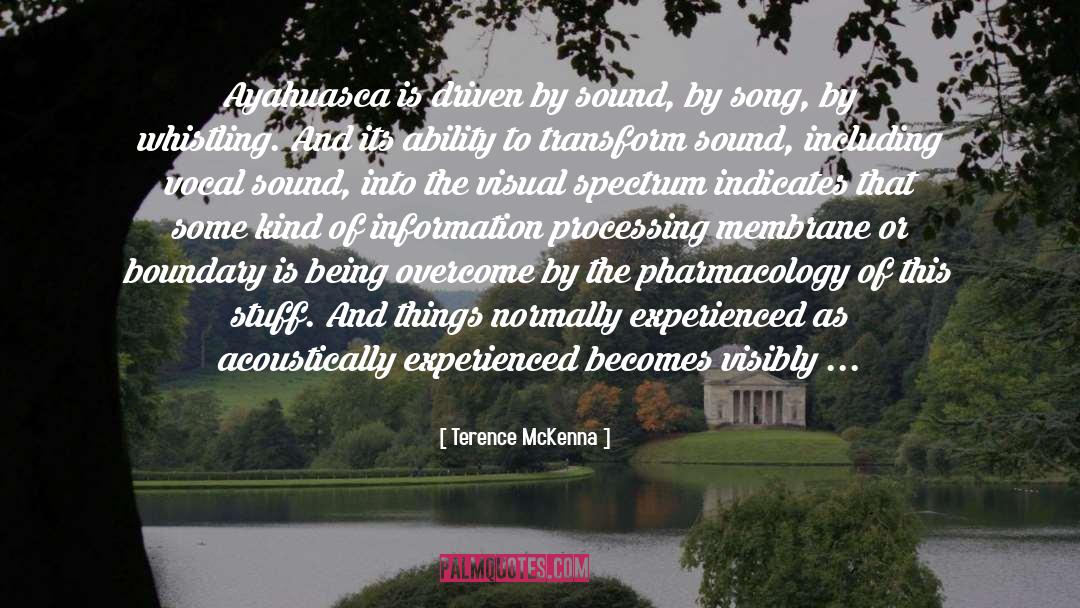 Information Processing quotes by Terence McKenna