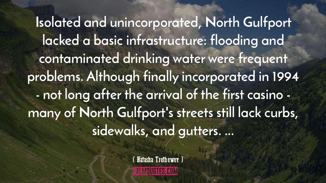 Infrastructure quotes by Natasha Trethewey