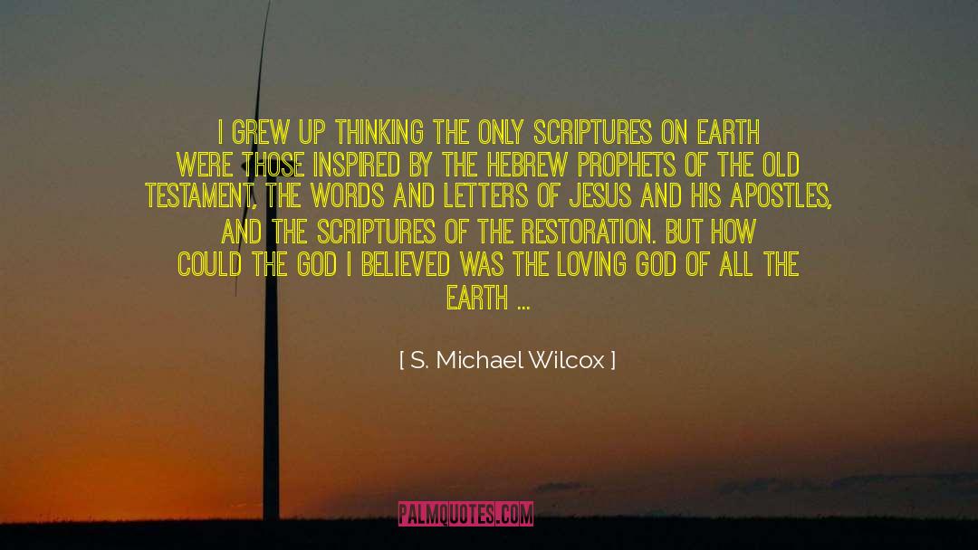 Infusion quotes by S. Michael Wilcox