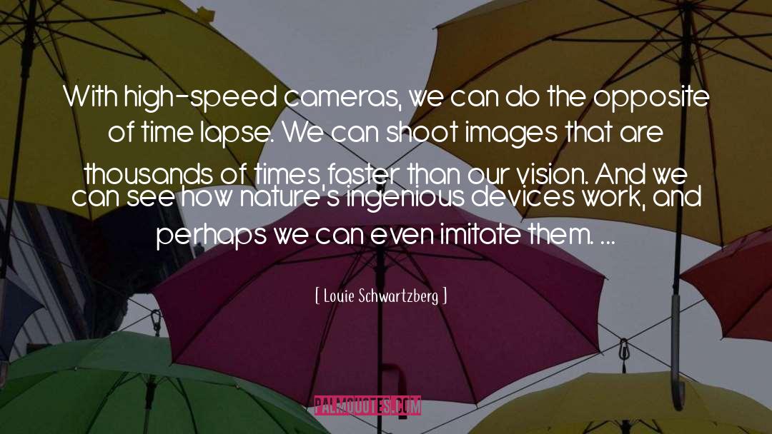 Ingenious quotes by Louie Schwartzberg