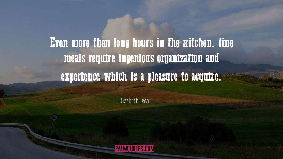 Ingenious quotes by Elizabeth David