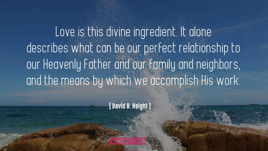 Ingredient quotes by David B. Haight