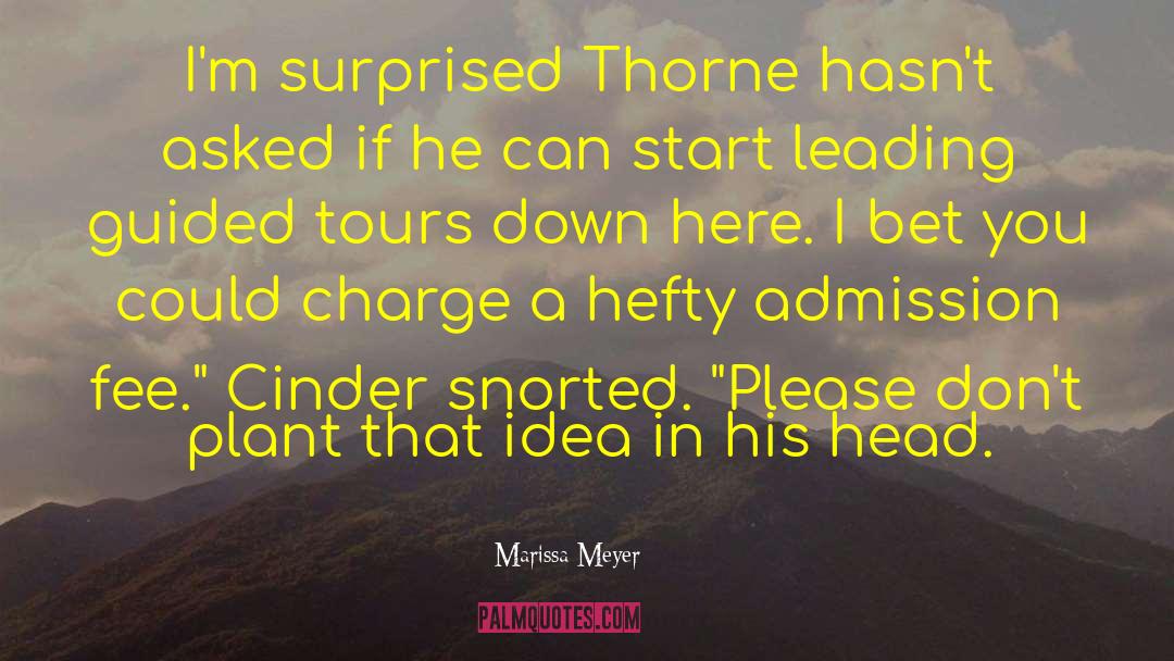 Ingstad Tours quotes by Marissa Meyer