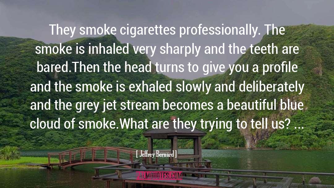 Inhaled quotes by Jeffrey Bernard