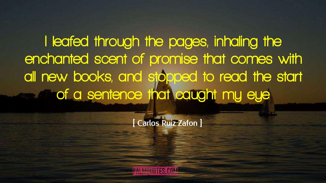 Inhaling quotes by Carlos Ruiz Zafon