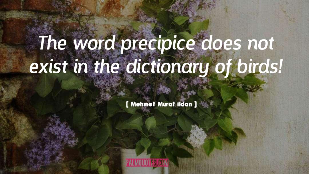 Inherence Dictionary quotes by Mehmet Murat Ildan